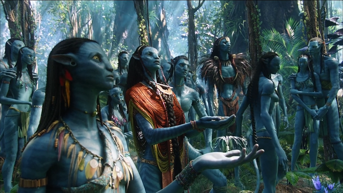 Avatar là bộ phim đầu tiên được chiếu dưới dạng 3D tại Việt Nam và được chiếu trước Bắc Mỹ 12 tiếng đồng hồ (16 phút của phim thậm chí đã được chiếu cho báo giới Việt Nam vào ngày 30 tháng 10, 2009.